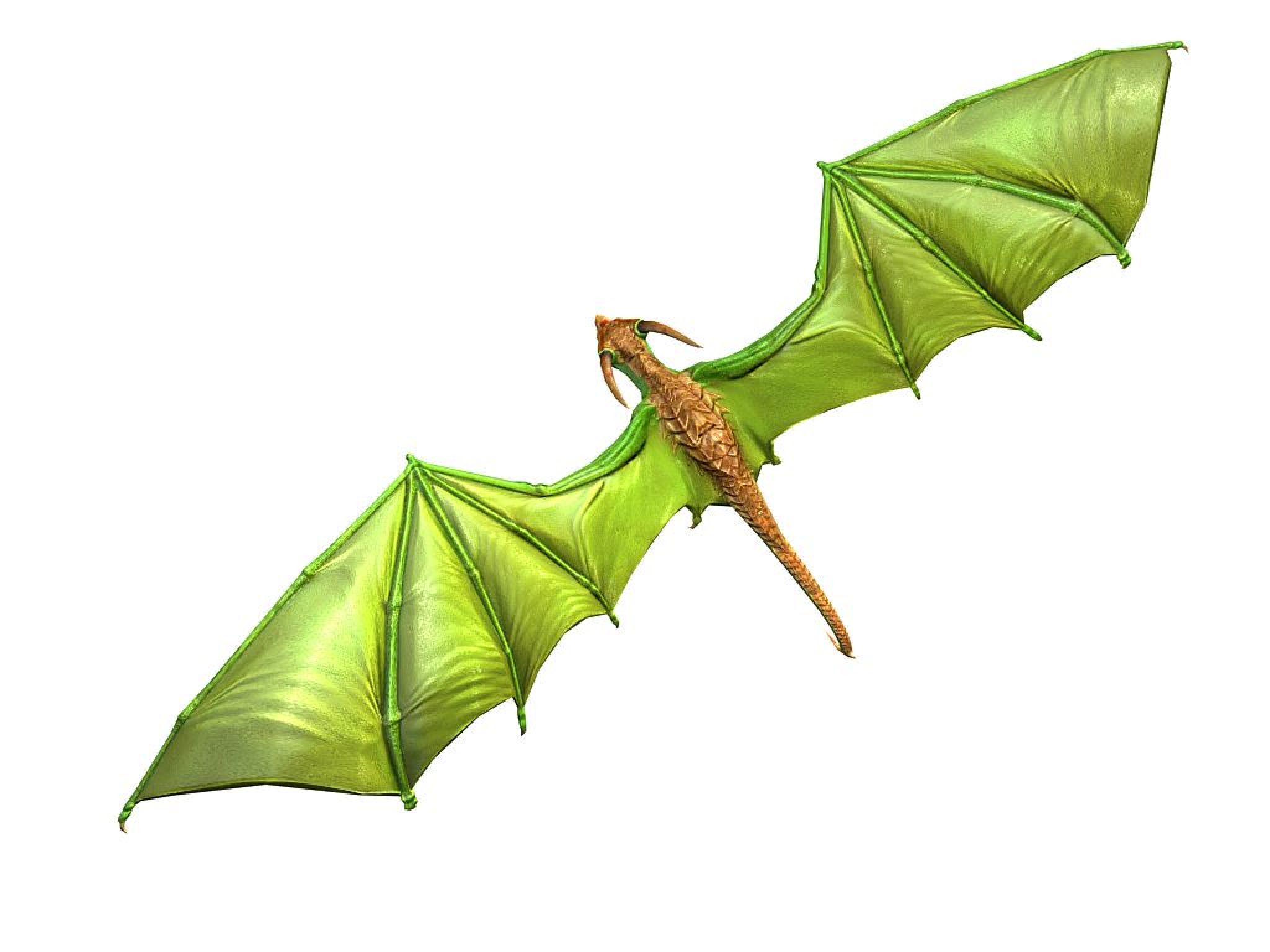 Bat dragon. Рукокрылые драконы. Рукокрылые драконы арт. Bat Dragon арт. Бать драконов.