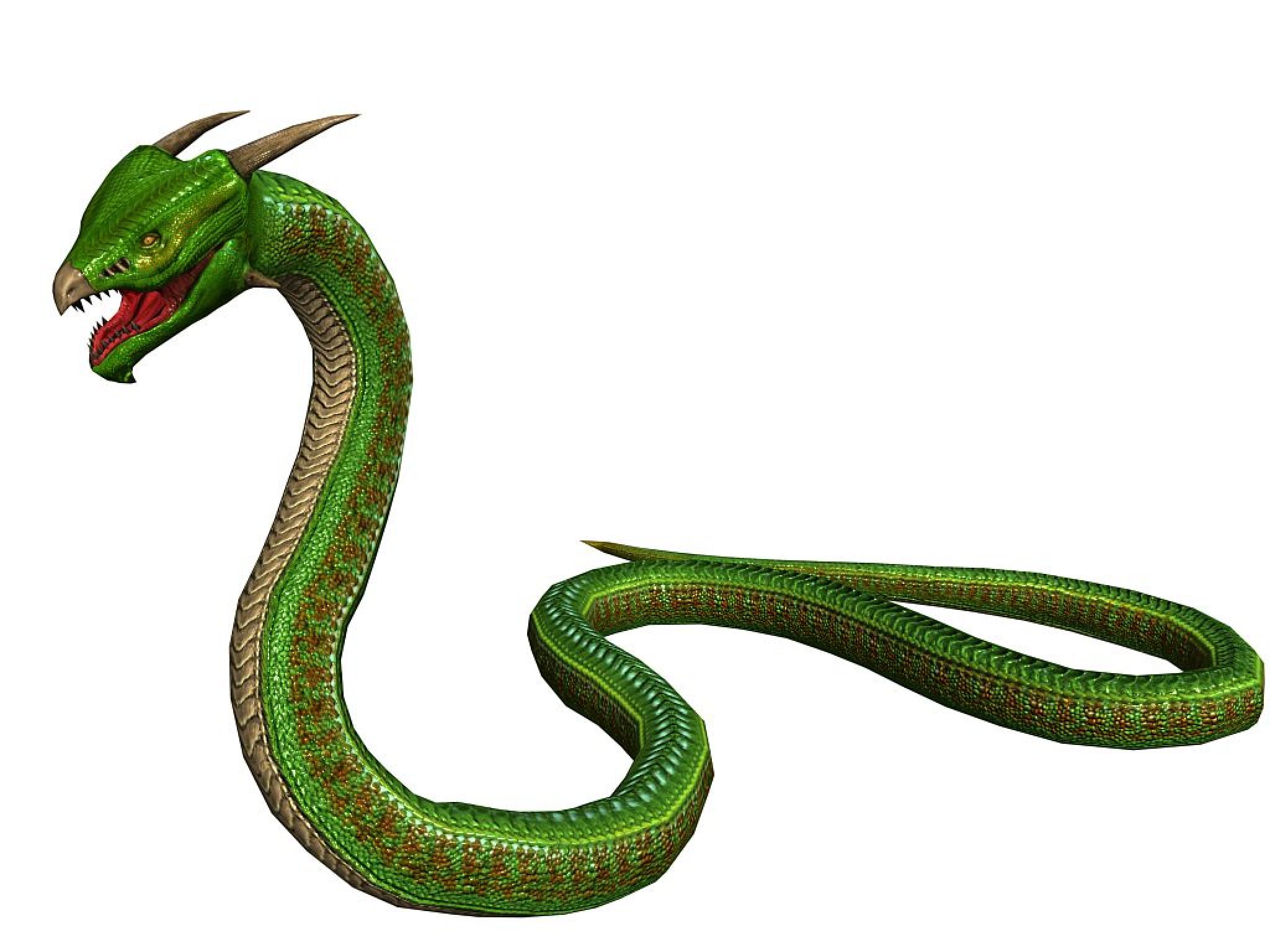 Зеленая змея на белом фоне