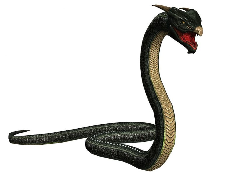 daz3d snake