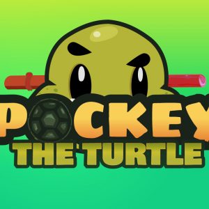 Pockey The Turtle 2D Game Character Sprites