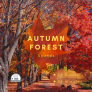 Autumn Forest Sounds